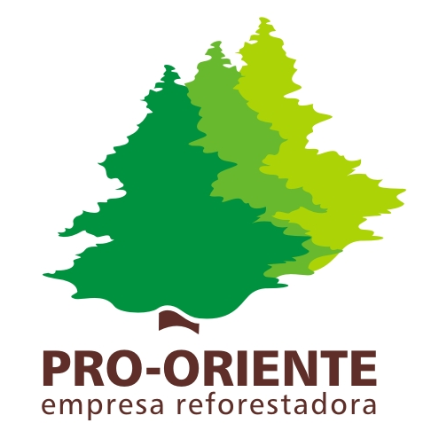 Logo de Pro Oriente