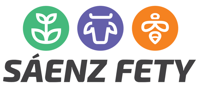 Logo de Saenz Fety