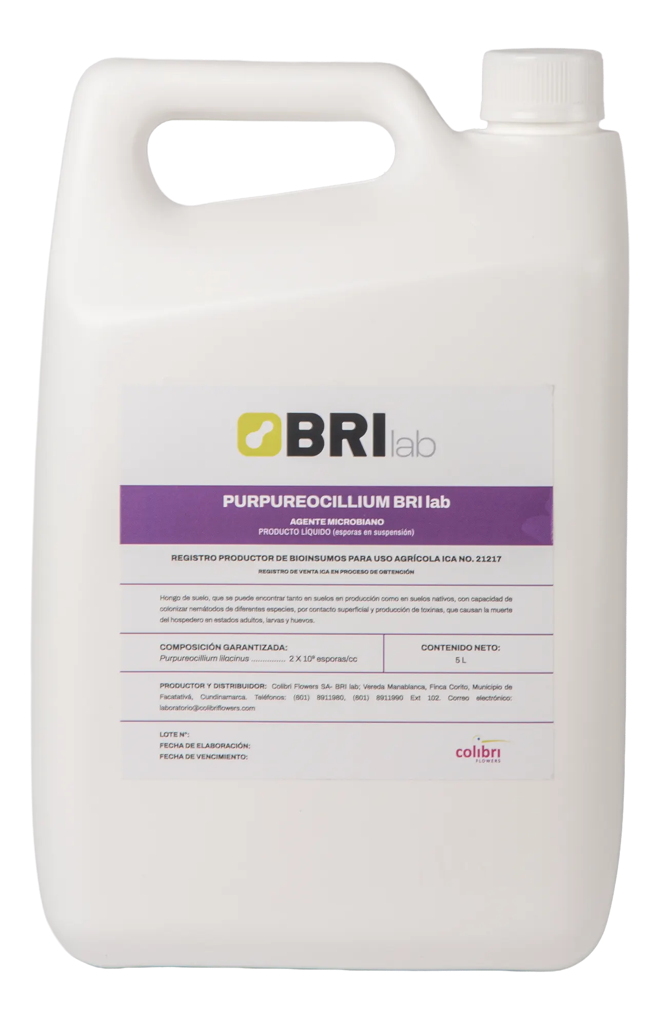 Imagen de Purpureacillium BRILab